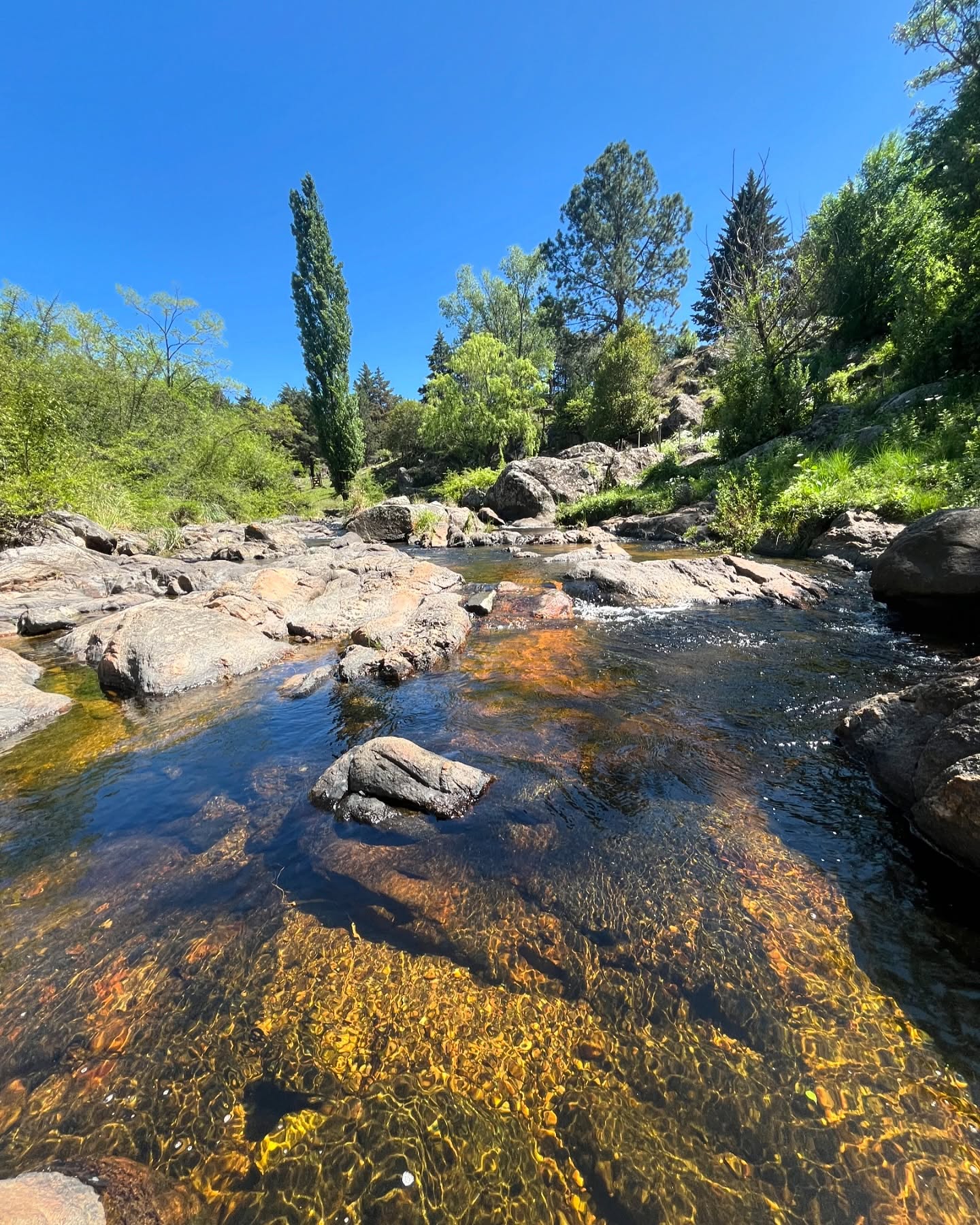 Arroyo